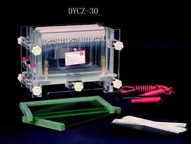 产品名称：双板夹芯式垂直电泳仪(槽)DYCZ-30C型