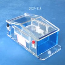 产品名称：琼脂糖电泳仪(槽)（微型）DYCP-31A型