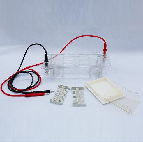 产品名称：琼脂糖水平电泳仪（槽）（小号）DYCP-31CN型