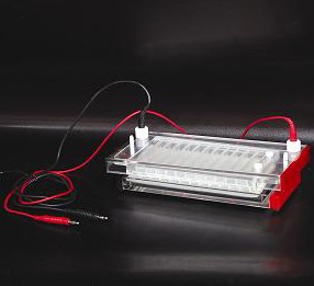 产品名称：快速凝胶电泳仪(槽)DYCP-44N型
