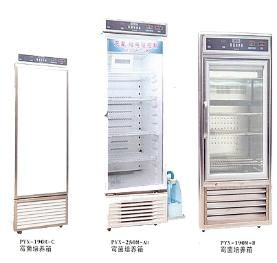 霉菌培养箱