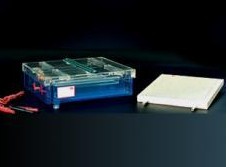 产品名称：等电聚焦多用途电泳槽DYCP-37B
