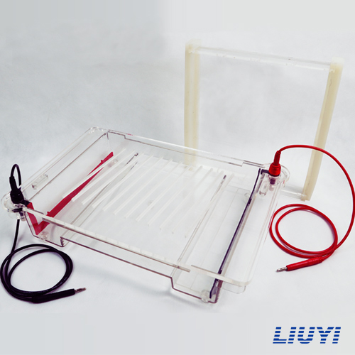 产品名称：琼脂糖水平电泳仪(大号)DYCP-32C型